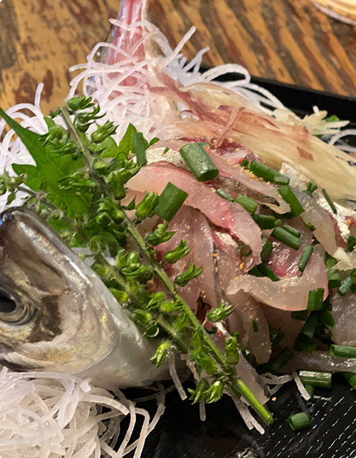 大将が釣った鮮魚